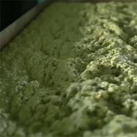 Huile de Graines d'Amla Pressée à Froid 100% Pure en Vrac d'Usine, 500ML Huile Capillaire d'Amla pour la Croissance des Cheveux | Huile Végétale Infusée