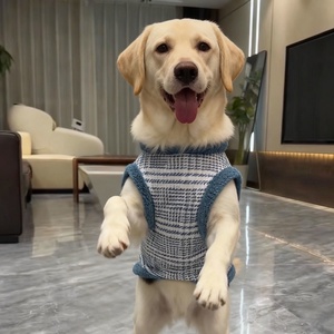 Chaqueta Gruesa y Cálida para Perros Grandes, Ropa de Invierno de Dos Patas para Golden Retrievers, Huskies y Samoyeds, Venta al Por Mayor - Product Image 2