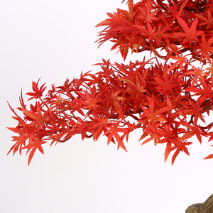 Más pequeña planta <span class=keywords><strong>de</strong></span> 3ft rojo artificial <span class=keywords><strong>de</strong></span> arce árbol bonsai para la venta - Product Image 6