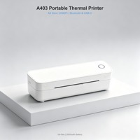 便携式 A4 热敏打印机 203DPI 2600mAh 移动文档打印机，适用于 Word Excel PDF 纹身转印