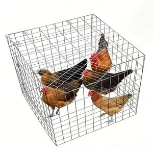 Cages à poulets galvanisées pour poules pondeuses, cages à volailles, cages à poulets pondeuses utilisées dans les fermes avicoles, <span class=keywords><strong>grillage</strong></span> de clôture - Product Image 3