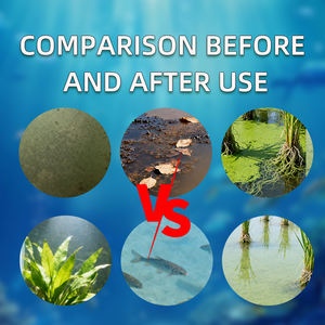 Régulateur de qualité de l'eau AquaTox Clear : Transparence de l'eau & Prévention des cyanobactéries & Détoxification - Product Image 4