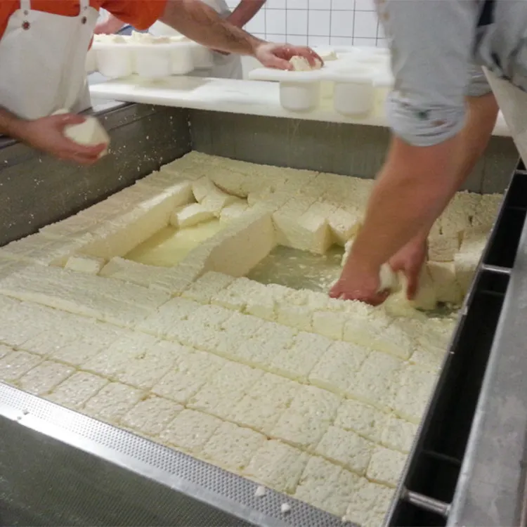 خط إنتاج Triangle Cheese ماكينة صنع جبن الكريمة للجبن