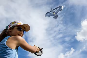Happy Eagle Soaring, Eagle <span class=keywords><strong>Kite</strong></span>, parfait pour les sorties parent-enfant - Product Image 4