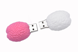Gitra-memoria <span class=keywords><strong>Usb</strong></span> en forma de cerebro, unidad Flash <span class=keywords><strong>Usb</strong></span> de 1GB, 2GB, 4GB, 16GB <span class=keywords><strong>con</strong></span> logotipo personalizado - Product Image 6
