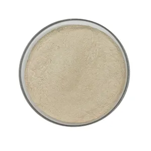 Protéase alcaline extraite de bacillus licheniformis