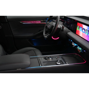 Kit d'éclairage d'ambiance intérieur professionnel pour Ford Mondeo/EVOS 2022-2025, fabricant de lampes LED - Product Image 3
