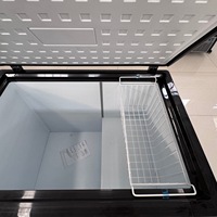 Congélateur coffre à porte supérieure pour aliments, économie d'énergie commerciale, 200L, 300L, 400L, 500L, Top Golding