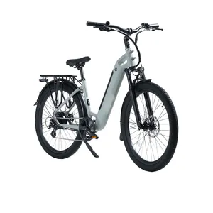 ebike电动城市自行车24英寸女士时尚自行车女电动自行车36V 350W 2轮驱动电动自行车后排婴儿座椅展示架