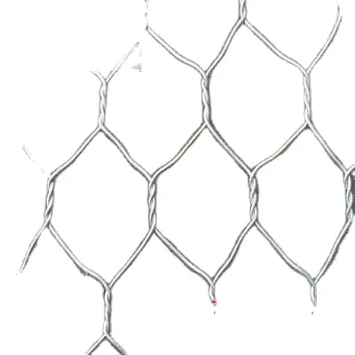 Heavy Hexagonal Wire Netting Gabion (最高Price) Electric Wire Mesh Plastic FilmとBundleまたはPallet、またはYou Need。2.0-3.0ミリメートル