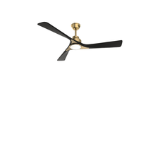 Ventilateur de plafond LED BLDC à circulation d'air doux en acrylique, télécommandé, pour la maison, café, restaurant, salon - Fabrication directe OEM/ODM