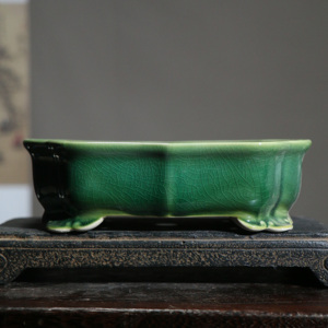 Maceta de Cerámica para Bonsái, Rectangular, Verde, con Esmalte Agrietado, para Mesa - Product Image 1