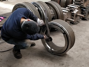 Pièces détachées pour <span class=keywords><strong>machine</strong></span> à granulés certifiées CE par des fournisseurs chinois, matrice annulaire en acier inoxydable - Product Image 3