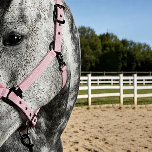 Ensembles d'équipement équestre en gros : Collier de tête réglable en alliage de zinc pour <span class=keywords><strong>chevaux</strong></span>, harnais assorti - Product Image 2