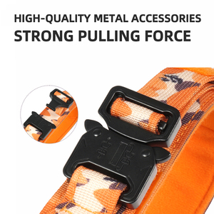 2025 personnalisé chien extérieur tactique collier d'entraînement multicolore <span class=keywords><strong>Camouflage</strong></span> Portable métal accessoire chien laisse chaîne moderne dessin animé - Product Image 3