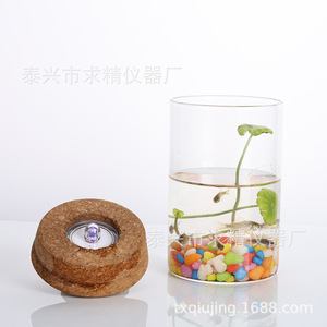 Glass Vase With Fairy Light Round Hydroponic Planter For Office Decoration Landscape <b>Bottle</b> - Product Image 1