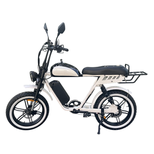 Bicicleta Eléctrica Zxc-275 con Motor Integrado, 750W, 48V, Cuadro de Aluminio, Motor en la Rueda Trasera, 7 Velocidades, Doble Freno de Disco, Estilo Vintage, para Desplazamientos Urbanos - Product Image 1
