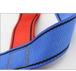 ANT5PPE สายรัดนิรภัยป้องกันการตกแบบเต็มตัวสําหรับเด็กสากลพร้อม D-Ring บนหลังและขาหัวเข็มขัดจับพันธุ์ - Product Image 6