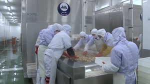 गारंटीकृत गुणवत्ता उचित मूल्य शांत चलने वाली सुरंग फ्रीजर आसान संचालन श्रम की बचत सुरंग फ्रीजर - Product Image 5