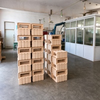 Accordéon chromatique professionnel 41 touches 120 basses, corps en bois, portable, qualité performance, sac de transport inclus