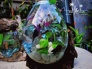Récipients en verre Vases à fleurs pour la maison <span class=keywords><strong>Vase</strong></span> en verre nordique Terrarium Transparent Adultes avec bouteille de poisson vivant <span class=keywords><strong>Vase</strong></span> en verre - Product Image 2