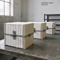 Modul Serat Keramik Blok Lipat 1430C Isolasi Tahan Api Suhu Tinggi Putih 3-5um untuk Pelapis Tungku Kiln V Anchors