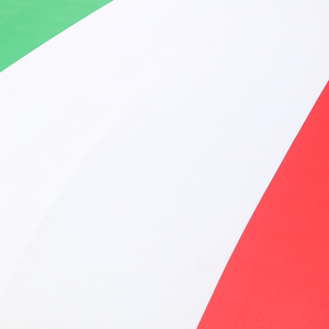 Copertura per Cofano Auto Italiana per Eventi Promozionali, Matrimoni e Altre Attività Digitali - Product Image 2