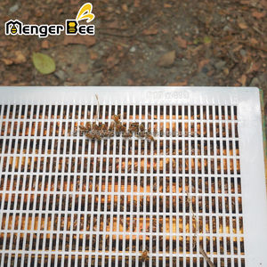 USA Market Vertical Yellow <b>Plastic</b> Bee Queen Excluder Ten Frame <b>Mesh</b> Size Apiary PP New Menger Bee Model QE-5 2 Year Warranty - Product Image 3