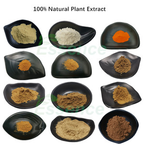 热销天然牛蒡叶提取物 牛蒡胶囊 牛蒡叶提取物粉 - Product Image 3