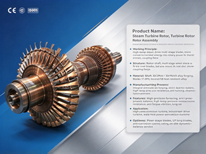 Rotor de turbine forgé de haute précision Bowzon <span class=keywords><strong>avec</strong></span> pales en forme de <span class=keywords><strong>racine</strong></span> de <span class=keywords><strong>sapin</strong></span>, équilibre dynamique strict pour ventilateur de compresseur de générateur - Product Image 6