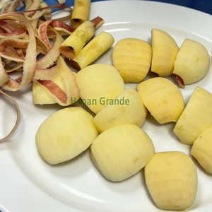 Éplucheur de pommes de table électrique, machine à éplucher les pommes/kiwis, machine à éplucher les agrumes, mandarines, oranges, citrons - Product Image 2