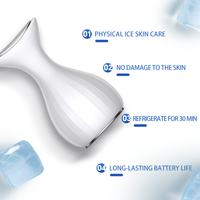 Dispositivo de Belleza Portátil para Compresas Frías Faciales, Masajeador Refrigerante para Lifting Facial y de Cuello, Martillo de Hielo para Calmar la Piel
