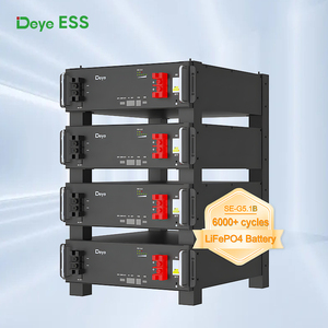 Deye Lifepo4 Pil 48v 51.2v 100ah 200ah 5.12kwh Raf Montajlı Lityum Pil Lipo Spring Serisi Se-g10.2 Ev Enerji Paketi için - Product Image 6