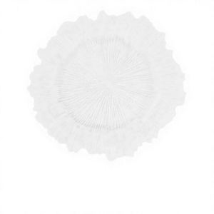 Lot de 50 Assiettes de Présentation Durables en Plastique PP Transparent 13'' avec Bord Doré Motif Floral Corail Design Moderne Classique pour Mariage et Réceptions - Product Image 2