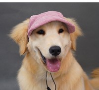 Chapeau de soleil en velours côtelé pour animaux de compagnie, style Corgi adorable, casquette de baseball monochrome, loisirs toutes saisons, en stock