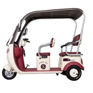 Scooter électrique à 3 roues FGQ Urban Leisure multi-places avec toit et porte-bagages arrière, tricycle électrique pour les trajets domicile-travail et les courses - Product Image 4