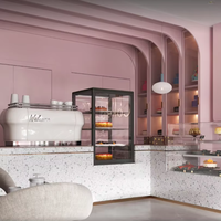 Nouvelle vitrine de café rose à la mode avec éclairage LED Design intérieur élégant pour les magasins de bonbons et les cafés