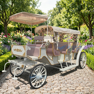 Calèche de chevaux personnalisée en usine, couleur au choix, à vendre / Calèche de transport spéciale moderne blanche pour mariage et visites touristiques - Product Image 1