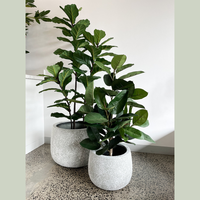 Plantes artificielles Ficus lyrata de 60 pouces, résistantes aux UV, faux arbre Ficus, plante artificielle Banyan pour la décoration intérieure