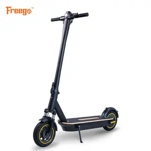 L'UE Adultes Motorisé Scooter des Neiges, Chaos Rion 450W Pas Cher Cyclomoteur Lame 10 -D Evo Moteur E-Scooter Électrique Scooter