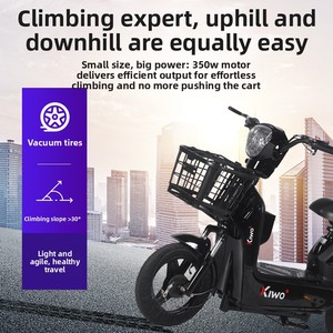 <span class=keywords><strong>Bicicleta</strong></span> Eléctrica Factory Gold Eagle <span class=keywords><strong>de</strong></span> Dos Ruedas con Batería, Doble Asiento, 150 kg, Motor <span class=keywords><strong>de</strong></span> 48 V 350 W, 40 km/h, Autonomía <span class=keywords><strong>de</strong></span> 55-65 km - Product Image 5