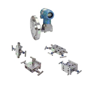 Montage sur châssis avec différentiel 2051 pour Rosemount Coplanar - Product Image 5