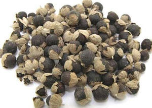 Горячая распродажа: Экстракт витексина (экстракт плодов растения частеберри) в порошке по лучшей цене - Product Image 3