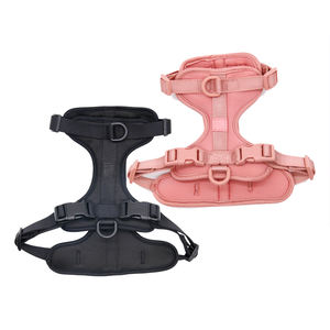 Set tali hewan peliharaan, S M L XL ukuran lucu serat nilon kucing Harness rompi dengan Escape Proof Neoprene Mesh kerah Breakaway tali kekang - Product Image 1