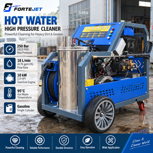 Idropulitrice Industriale ad Acqua Calda 250 Bar, Pulitore ad Alta Pressione 10kW 13HP con Motore a Benzina - Product Image 5
