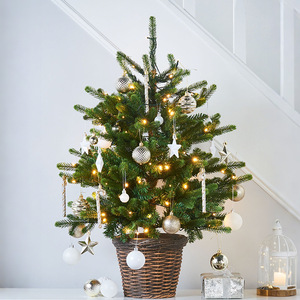 2026 mới xuyên biên giới PE + PVC hỗn hợp mini Cây giáng sinh LED dạ quang giáng sinh trang trí cửa sổ nhà - Product Image 2