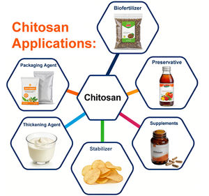 ISO Сертифицированный натуральный экстракт, порошок, органический пищевой Хитозан - Product Image 3