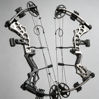 Arc à poulies professionnel réglable HUANTU Leiwanuo Pangu Pro, kit de tir à l'arc en métal, composants, force de traction 30-65 lb, longueur 96 cm