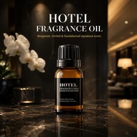 Parfum d'ambiance professionnel pour hall d'hôtel, liquide, longue durée, OEM, marque privée, vente en gros, huile parfumée pour hôtel