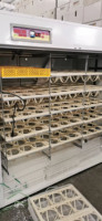 Incubateur automatique d'oeufs d'autruche 180 de grande capacité à vendre incubateur d'autruche